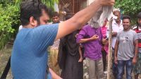 রাসেল ভাইপার-গোখরার কামড়ে ২ জনের মৃত্যু