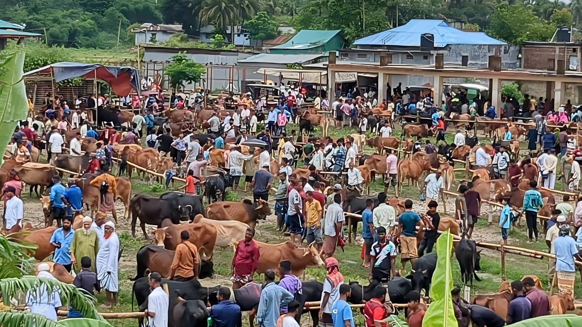 খাগড়াছড়িতে জমজমাট কোরবানির পশুর হাট