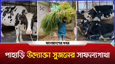 ৬টি গরু নিয়ে যাত্রা শুরু, সফল খামারি সুজনের গল্প