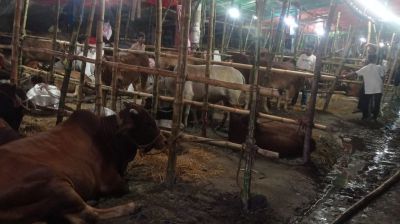 জমছেই না হাট, ক্রেতার অপেক্ষায় ব্যবসায়ীরা
