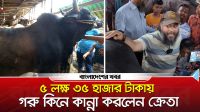 ৫ লক্ষ ৩৫ হাজার টাকায় গরু কিনে কান্না করলেন ক্রেতা