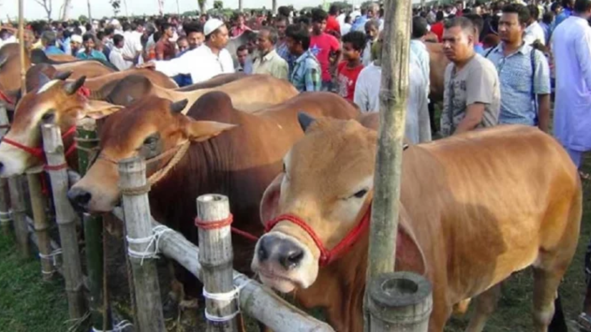 রাজধানীর ১৯টি পশুর হাটে নিশ্ছিদ্র নিরাপত্তা