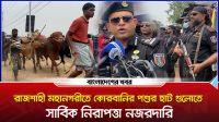 রাজশাহী মহানগরীতে কোরবানির পশুর হাট গুলোতে সার্বিক নিরাপত্তা নজরদারি