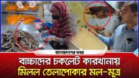 বাচ্চাদের চকলেট কারখানায় মিলল তেলাপোকার মল-মূত্র