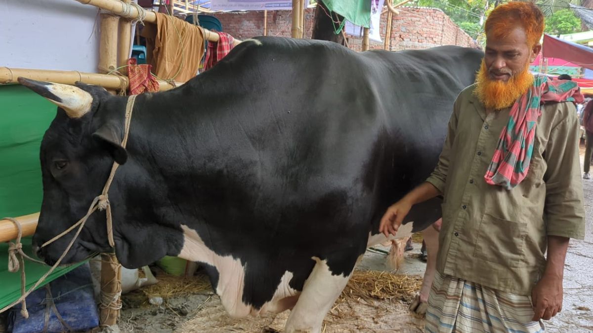 কত টাকায় বিক্রি করবেন কালো মানিক? যা বললেন বিক্রেতা