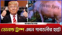 ডোনাল্ড ট্রাম্প এখন গাবতলীর হাটে