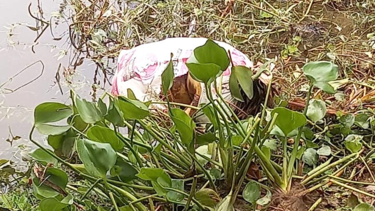 কোটালীপাড়ায় ধারের টাকা-জমির দ্বন্দ্বে আপন চাচাকে খুন