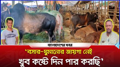 সন্তুষ্ট নয় বেপারীরা, গরুর হাট নিয়ে বিস্তর অভিযোগ