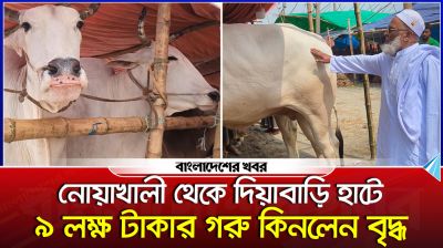 নোয়াখালী থেকে দিয়াবাড়ি হাটে এসে ৯ লক্ষ টাকার গরু কিনলেন বৃদ্ধ
