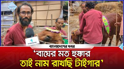 ‘বাঘের মত হুঙ্কার তাই নাম রাখছি টাইগার’