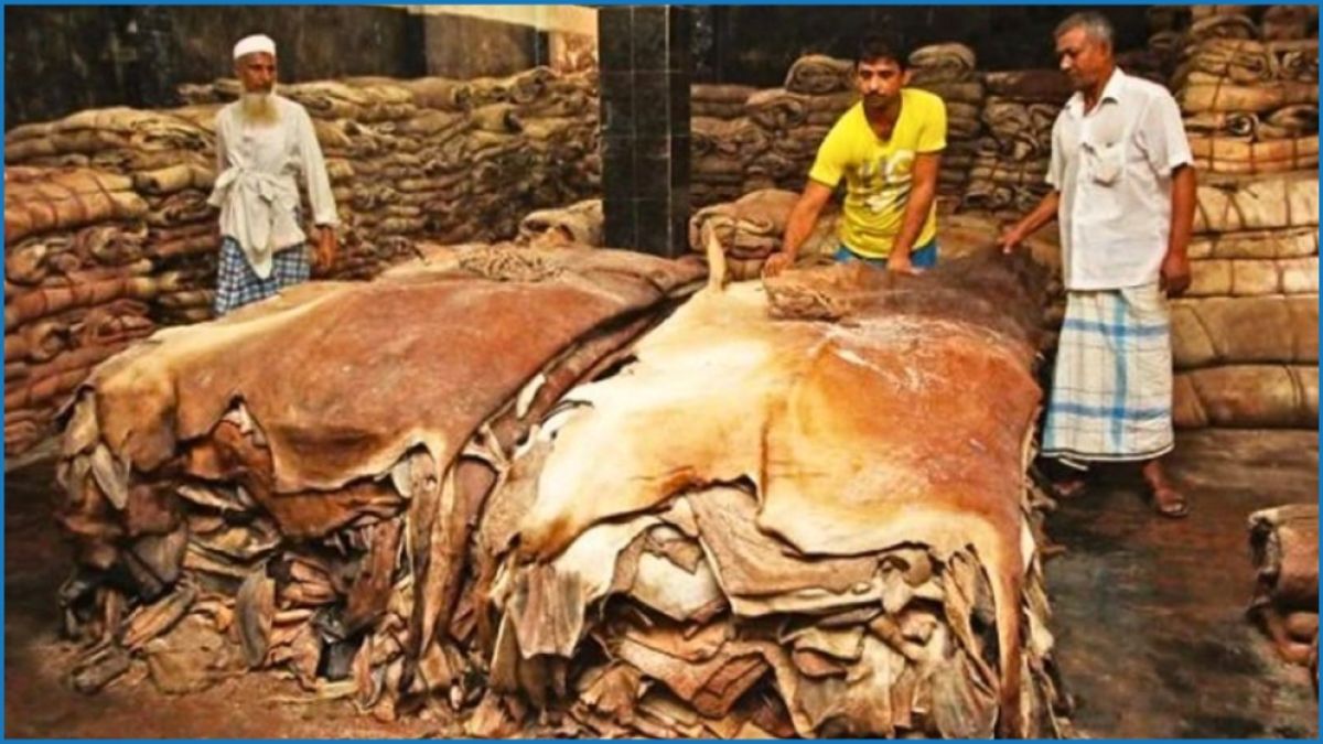 চামড়া খাতে ঋণ বিতরণে ব্যাংকের অনীহা