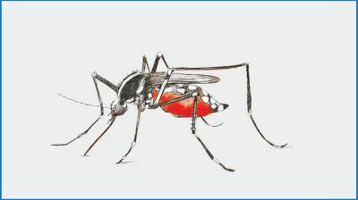 ডেঙ্গুতে ২৪ ঘণ্টায় আক্রান্ত ৬২
