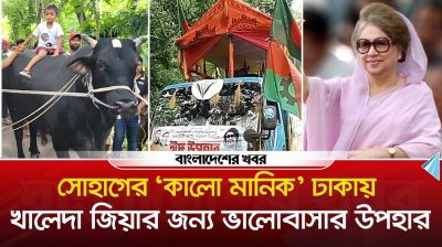 খালেদা জিয়ার জন্য ‘কালো মানিক’ নিয়ে ঢাকার পথে কৃষক সোহাগ