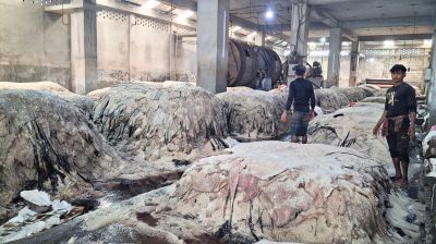 সাভারে ট্যানারি পল্লিতে কাঁচা চামড়া সংগ্রহে কর্মচাঞ্চল্য