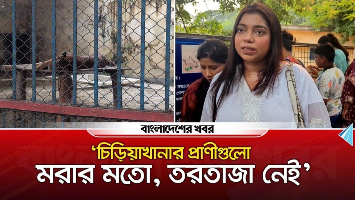 ‘চিড়িয়াখানার প্রাণীগুলো মরার মতো, তরতাজা নেই’
