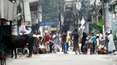 এ বছর ঈদুল আজহায় ৯১ লাখের বেশি পশু কোরবানি হয়েছে