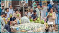 ৩৬ জেলায় মৃদু তাপদাহ, স্বস্তি মিলতে পারে বৃহস্পতিবার