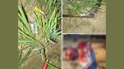 কুষ্টিয়ায় ব্যবসায়ী খুন : সন্দেহের তীর চরমপন্থী-সাবেক জামাতার দিকে