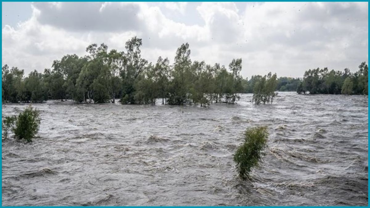 দক্ষিণ আফ্রিকার বন্যায় মৃতের সংখ্যা বেড়ে ৬৭ জনে দাঁড়িয়েছে