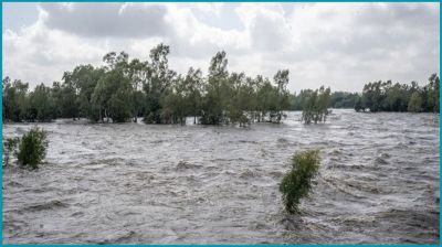 দক্ষিণ আফ্রিকার বন্যায় মৃতের সংখ্যা বেড়ে ৬৭ জনে দাঁড়িয়েছে
