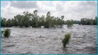 দক্ষিণ আফ্রিকার বন্যায় মৃতের সংখ্যা বেড়ে ৬৭ জনে দাঁড়িয়েছে