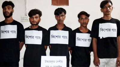 চাঁদপুরে কিশোর গ্যাংয়ের ৫ সদস্য গ্রেপ্তার