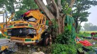 গাছের সঙ্গে আম বোঝাই ট্রাকের ধাক্কা, সহকারী নিহত