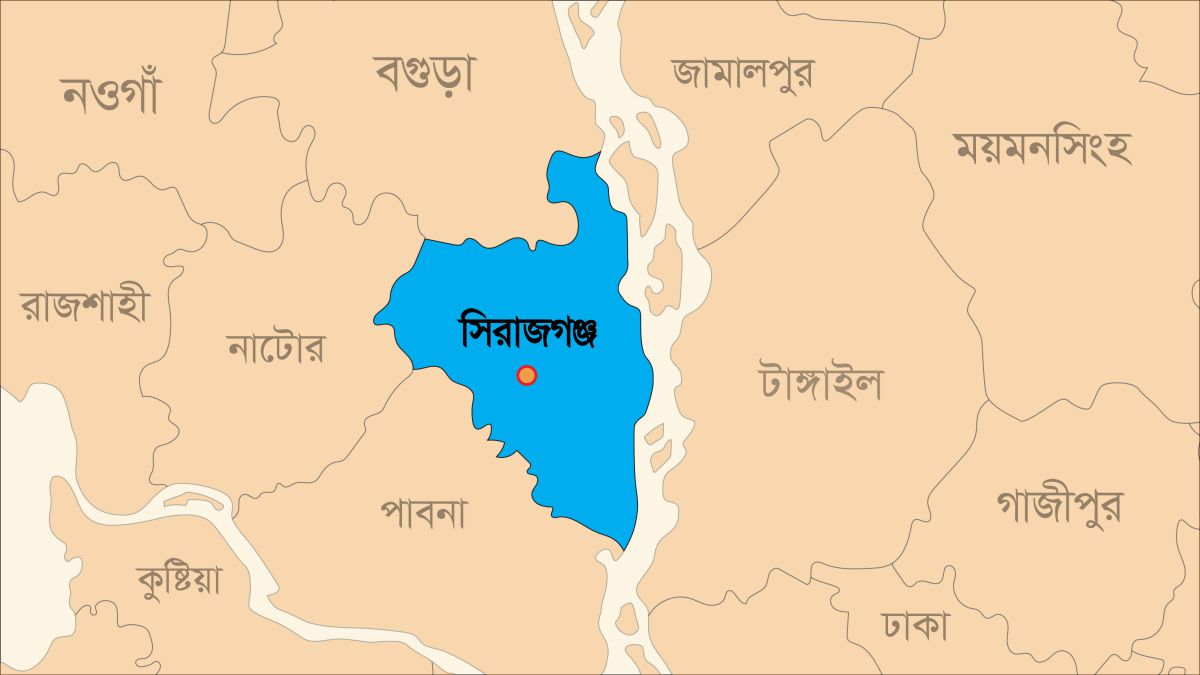 তাড়াশে সড়কে গাছ ফেলে ডাকাতির চেষ্টা