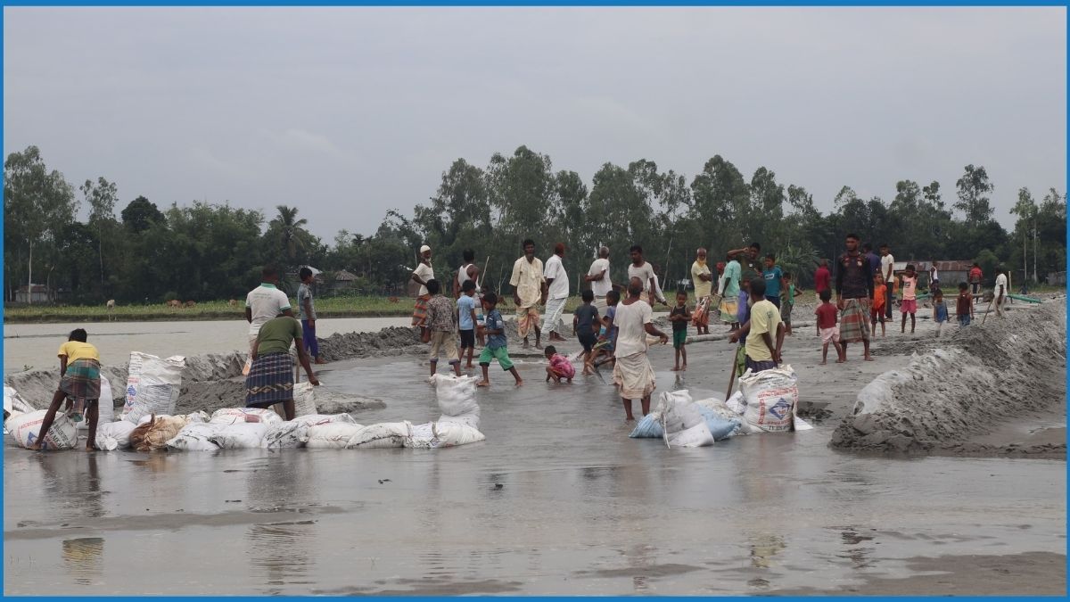 কালীগঞ্জে বসতভিটা রক্ষায় স্বেচ্ছাশ্রমে বাঁধ নির্মাণ