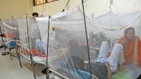 ডেঙ্গুতে আরও একজনের মৃত্যু, হাসপাতালে ৩৫২