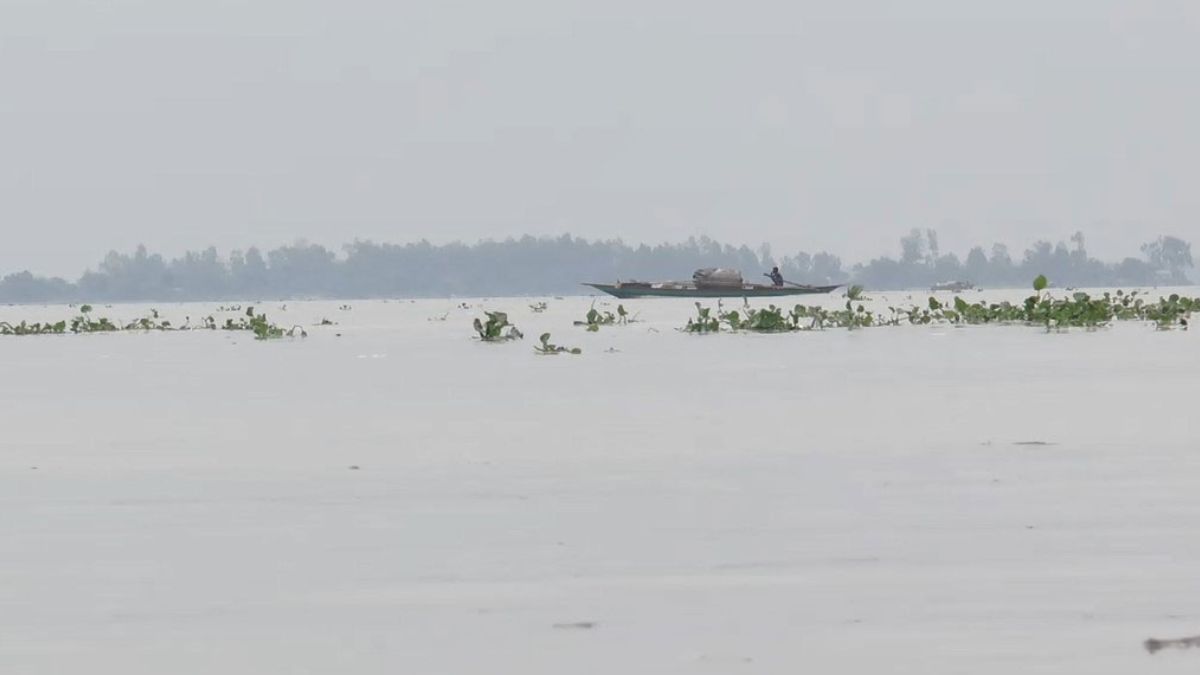 যমুনায় পানি বাড়ছে, তলিয়ে যাচ্ছে নদীতীরের ফসলি জমি