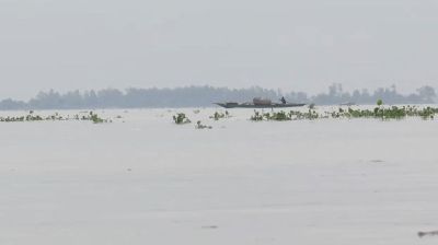 যমুনায় পানি বাড়ছে, তলিয়ে যাচ্ছে নদীতীরের ফসলি জমি