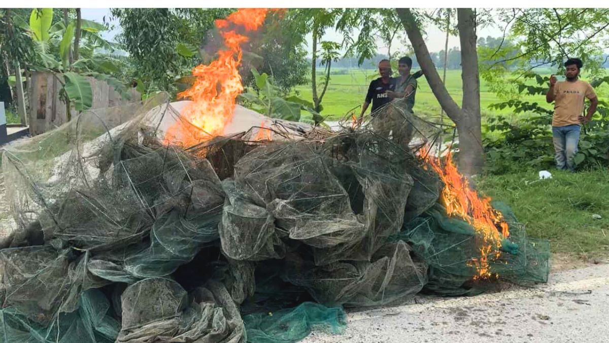 মির্জাপুরে চায়না জাল আগুনে পুড়িয়ে ধ্বংস