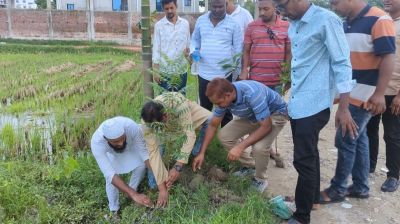 ধামরাইয়ে স্বেচ্ছাসেবক দল নেতার ৩ হাজার গাছ রোপণ
