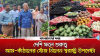 দেশি ফলে গুরুত্ব, আম কাঁঠালের খোঁজ নিলেন স্বরাষ্ট্র উপদেষ্টা