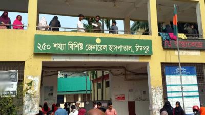 চাঁদপুরে শিয়ালের তাণ্ডব, কামড়ে আহত ১০