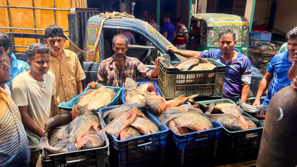মৌলভীবাজারে ২৫৮ কেজি পিরানহা মাছ জব্দ, ব্যবসায়ীর এক বছরের কারাদণ্ড