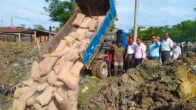 বড়লেখায় বন্যায় পচে যাওয়া ২৩৪ বস্তা ভিজিএফ চাল মাটিচাপা