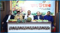 সাংবাদিকদের ইতিবাচক লেখনির মাধ্যমে পুঁজিবাজার ঘুরে দাঁড়াবে