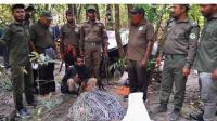 সুন্দরবনে ৩০০ ফাঁদসহ হরিণ শিকারি আটক