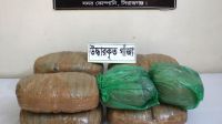 সিরাজগঞ্জে ১৬ কেজি গাঁজাসহ মাদক কারবারি গ্রেপ্তার
