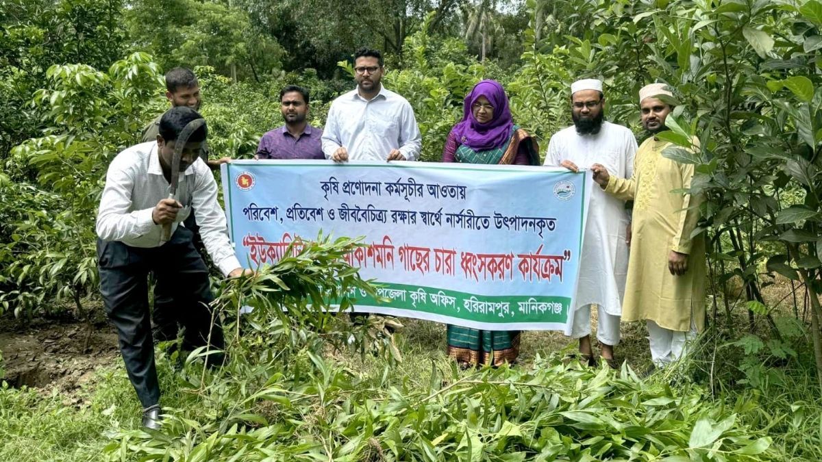 হরিরামপুরে পরিবেশবিধ্বংসী গাছের চারা ধ্বংস করলেন ইউএনও