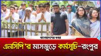 এনসিপির মাসজুড়ে কর্মসূচি