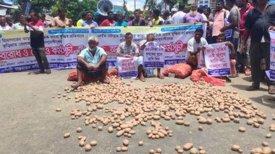 মহাসড়কে আলু ঢেলে চাষিদের সড়ক অবরোধ