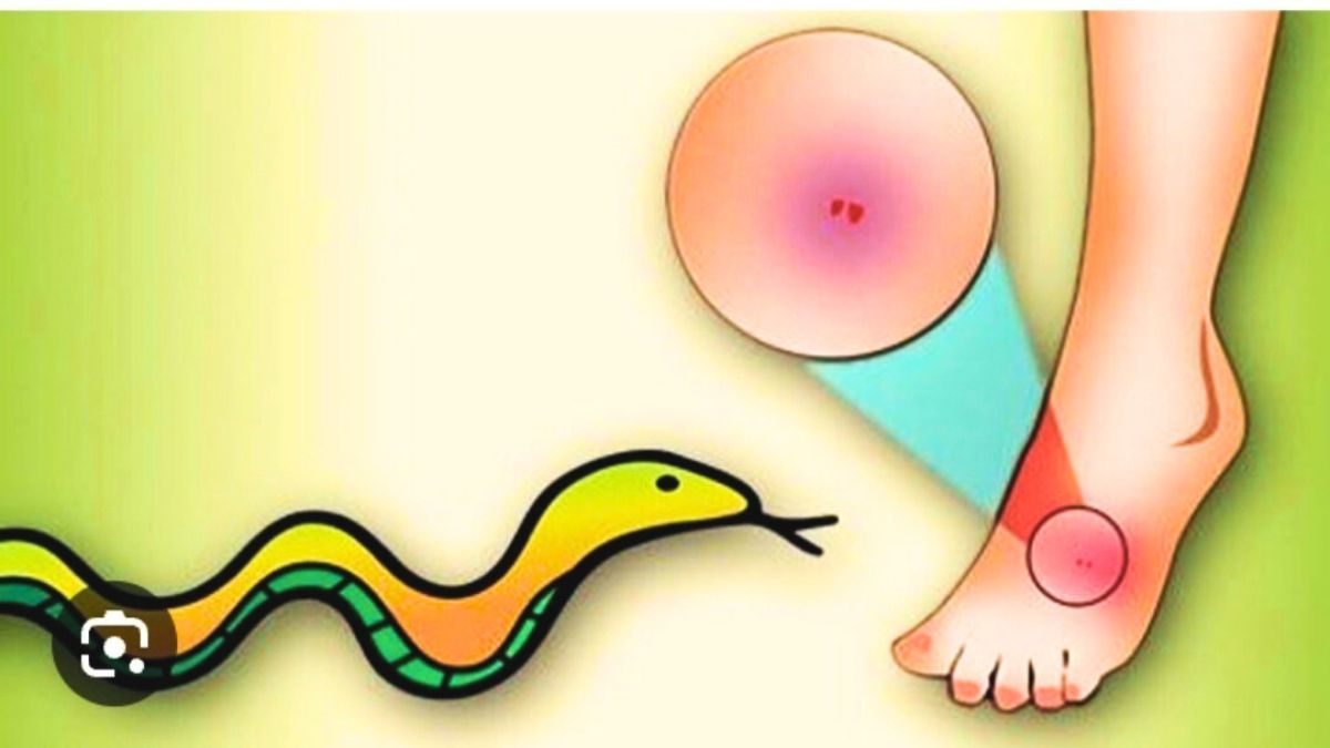 পরশুরামে সাপে কেটে গৃহবধূর মৃত্যু