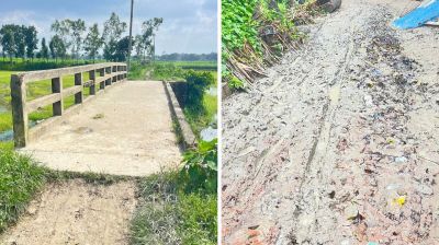 সাটুরিয়ায় কৈজুরী-মালশি সড়কে জনদুর্ভোগ