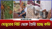 সাড়া ফেলেছেন পুরো বিশ্বে, খেজুরের বীজ থেকে মূল্যবান কফি
