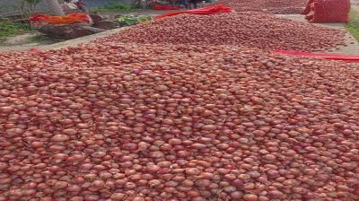 কুমারখালীতে পেঁয়াজ-রসুনের ঝাঁজ বেড়েছে, বিপাকে ক্রেতারা