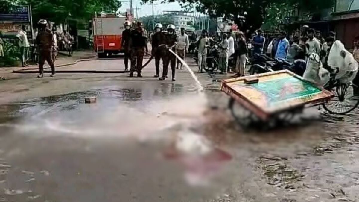 পাবনায় ট্রাকচাপায় ভ্যানচালক নিহত