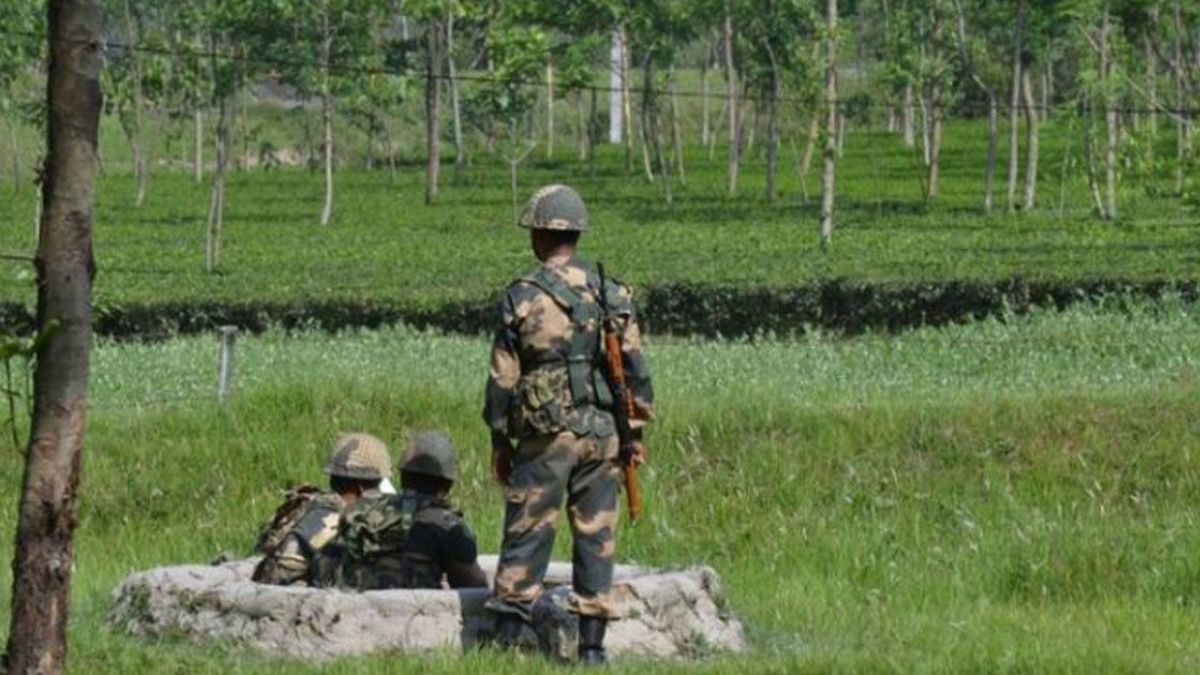 কুলাউড়া সীমান্তে ৩ বাংলাদেশিকে ধরে নিয়ে গেছে বিএসএফ